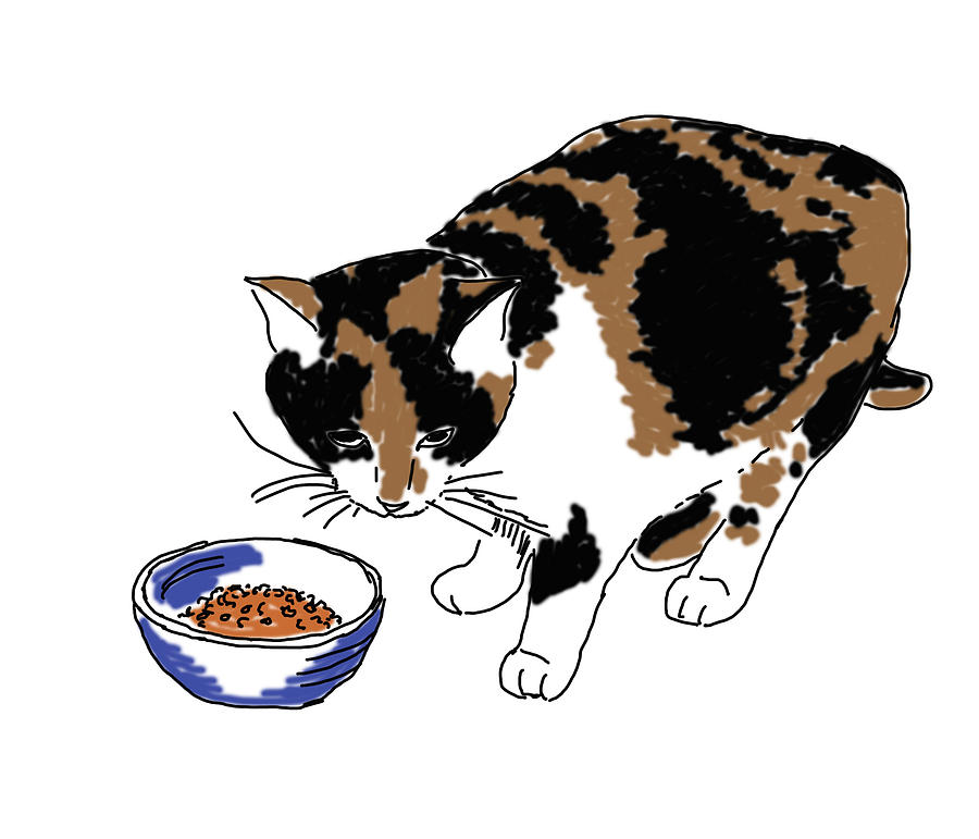 Cat And Kibble Drawing by Daniel Reed