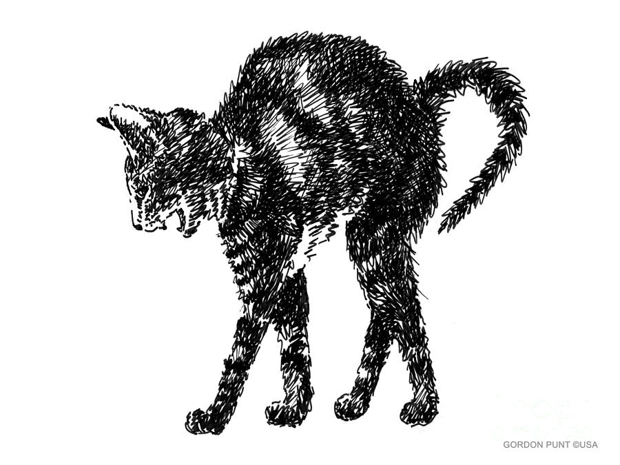 Cat-Artwork-Prints-2 Drawing by Gordon Punt