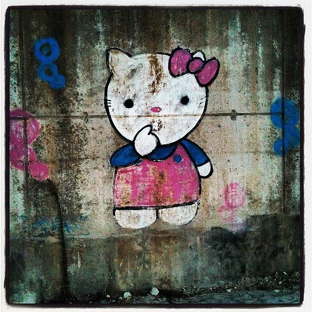 Summer Photograph - #cat, #baby, #cartoon, #graffiti by George sneyeper Vlachos