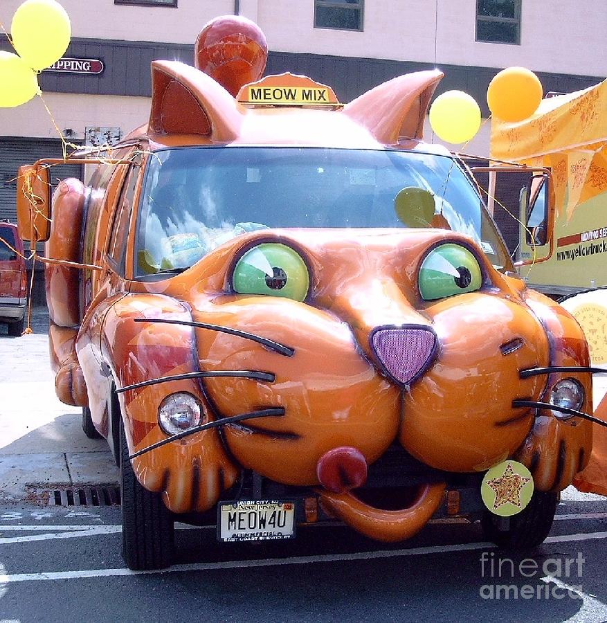 Cat Car Meow Photograph by David Karasow - Pixels