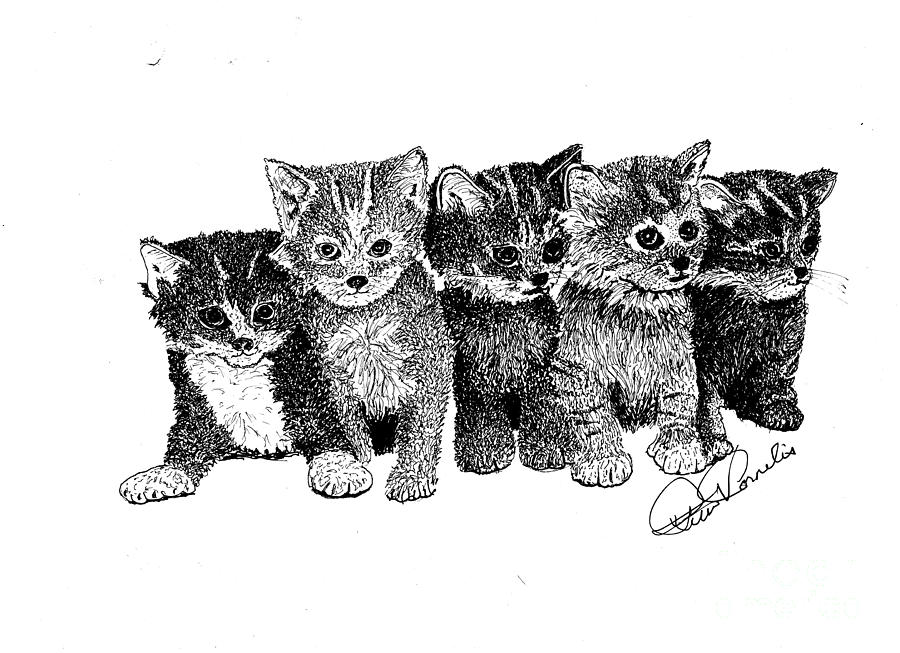 Cat Drawing - Cat Clan by Peter Cornelis