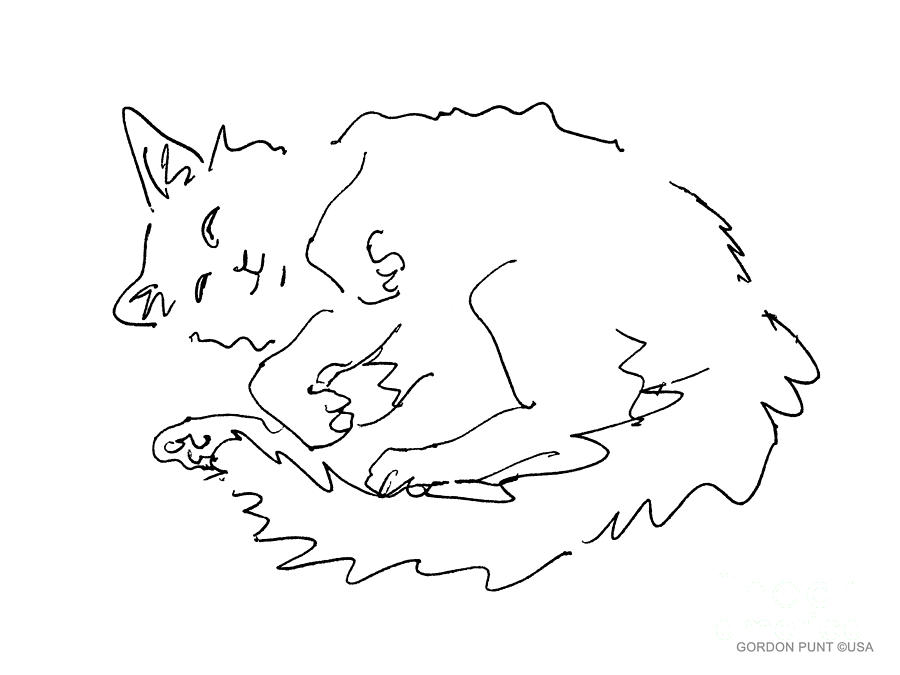 Cat-Drawings-Black-White-1 Drawing by Gordon Punt