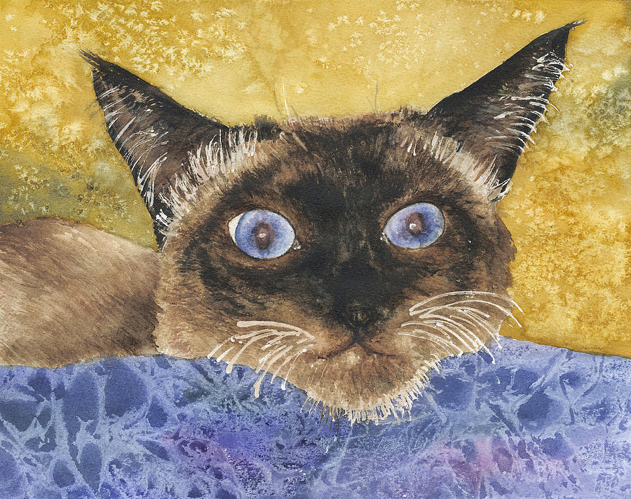 Cat Eyes Painting by Anne Gifford