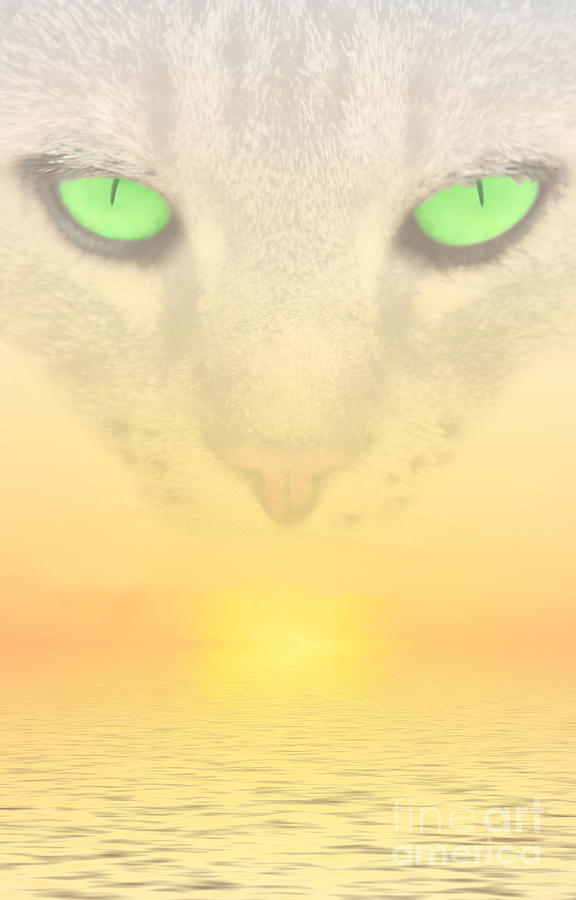 Cat Eyes Digital Art by Peter Kirschner | Fine Art America