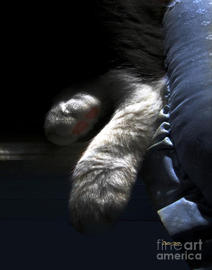 Cat Digital Art - Cat Feet by Dale   Ford