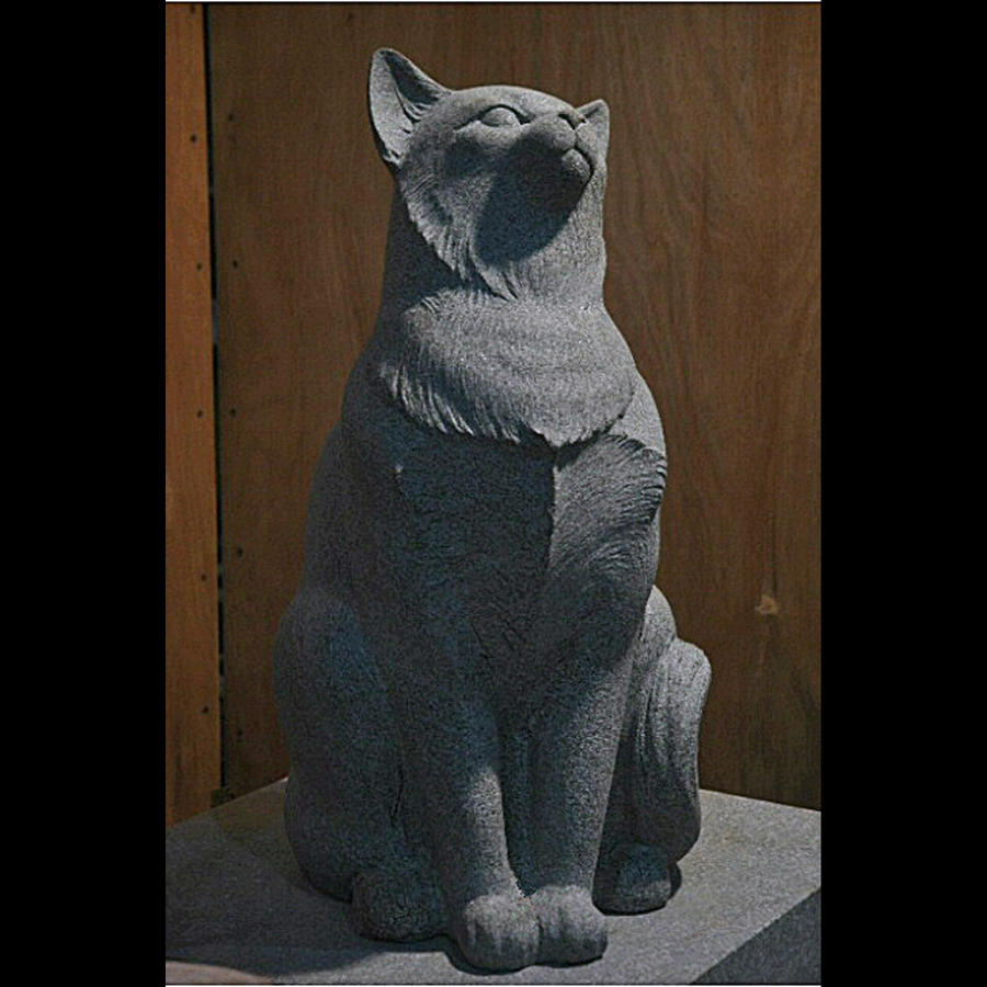 cat Sculpture by Jerry Williams Fine Art America