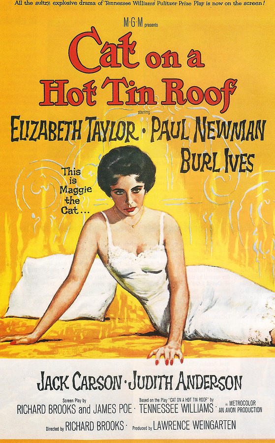 Elizabeth Taylor Photograph - Cat on a Hot Tin Roof by Georgia Clare