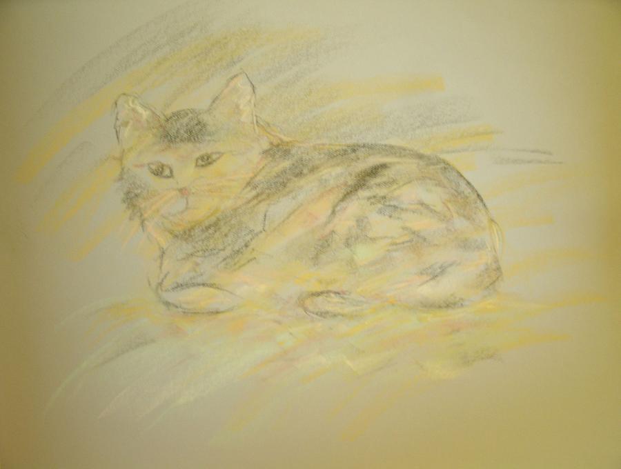 Cat Sketch 2 Pastel by Samantha Lusby