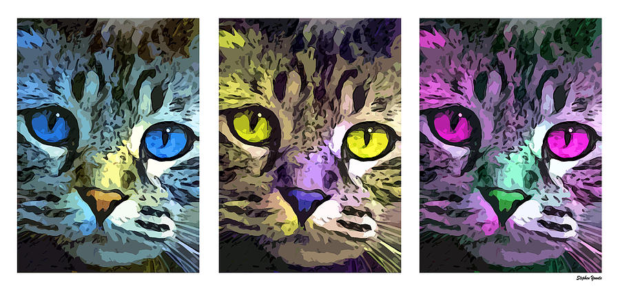 Cat Digital Art by Stephen Younts