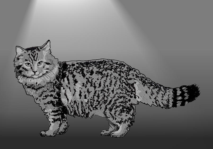 Cat Tabby Digital Art by Robert Bissett