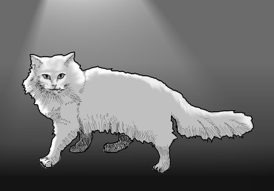 Cat White Digital Art by Robert Bissett