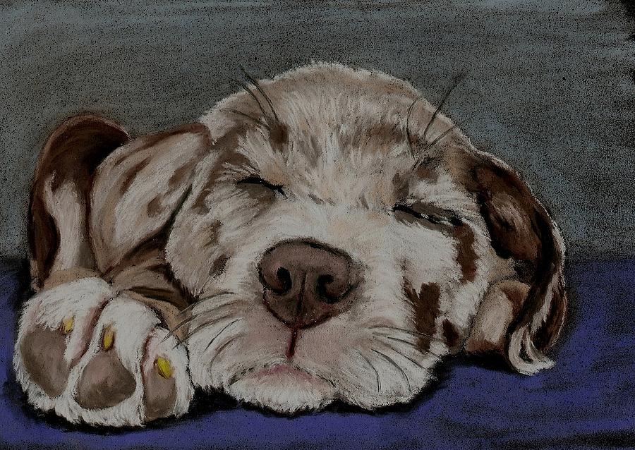Dog Pastel - Catahoula Puppy by Joan Pye