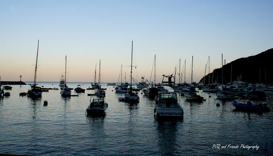 Catalina Harbor Photograph by PJQandFriends Photography