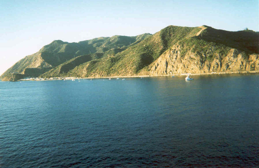 Catalina in the Morning Photograph by Sheila Silverstein