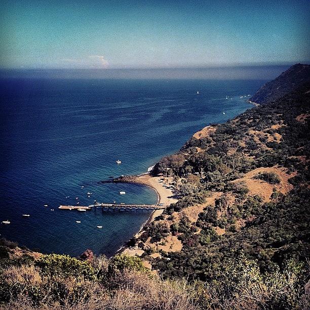 Catalina Island Marine Institute, Toyon Photograph by Wr Lp