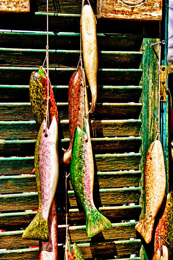 Catch of the Day Photograph by Ches Black