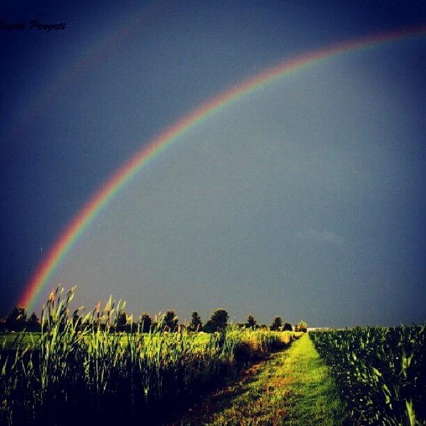 Beautiful Photograph - Catch The Rainbow by Devid Raziel Penguti