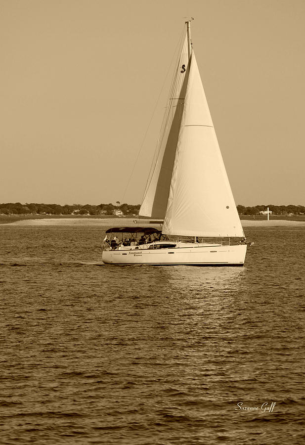 Catching a Breeze in sepia Photograph by Suzanne Gaff
