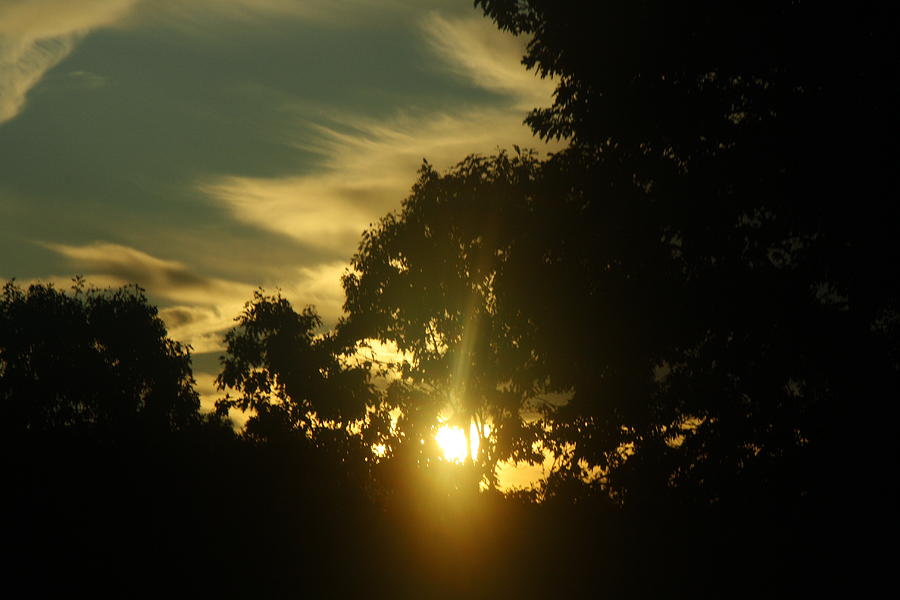 Catching the Sun Photograph by Loretta Pokorny