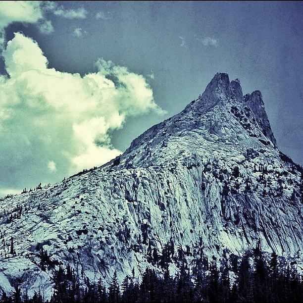 Yosemite National Park Photograph - Cathedral Peak From Tuolumne Meadows by Chris Bechard