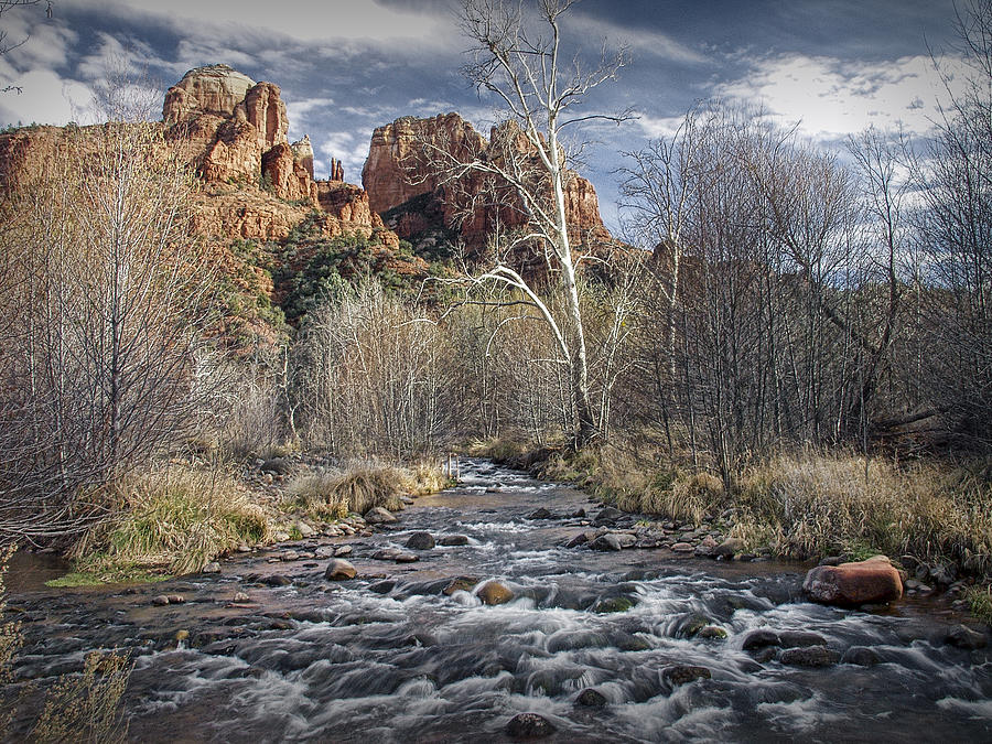 Cathedral Rock in Sedona Photograph by Randall Nyhof