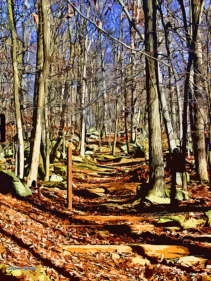 Catoctin Trail Digital Art by Stephen Younts