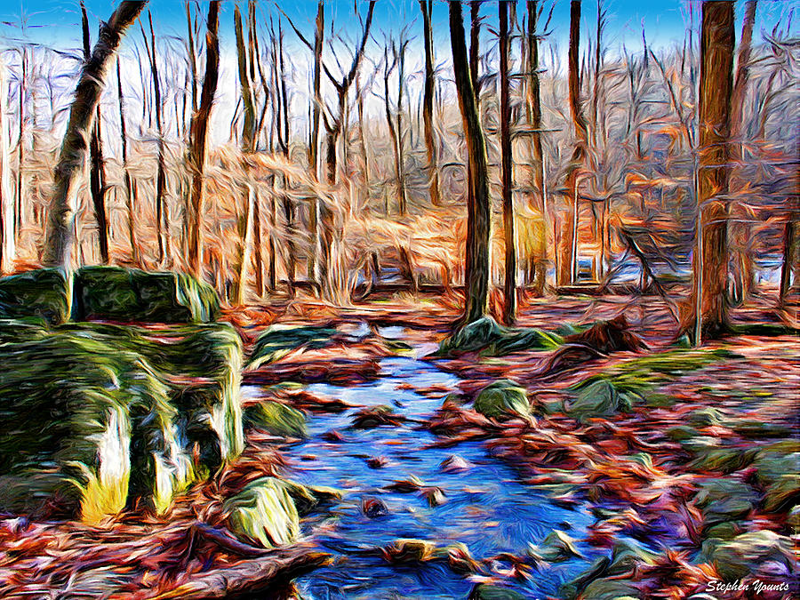Catoctin Woods Digital Art by Stephen Younts