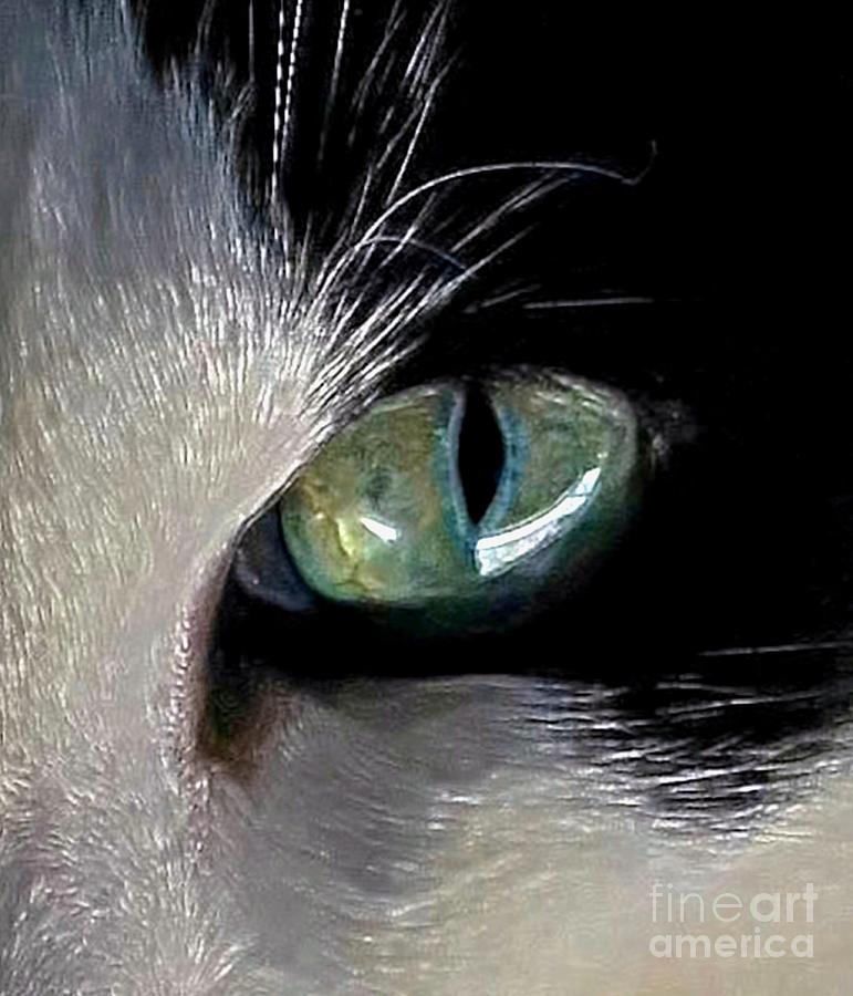 Cats Eye Digital Art by Dale   Ford