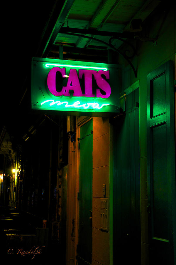 New Orleans Photograph - Cats Meow by Cheri Randolph