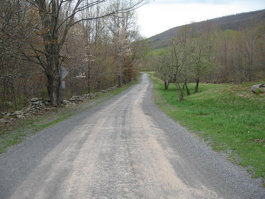 Catskill Dirt Road Photograph by Kathryn Barry