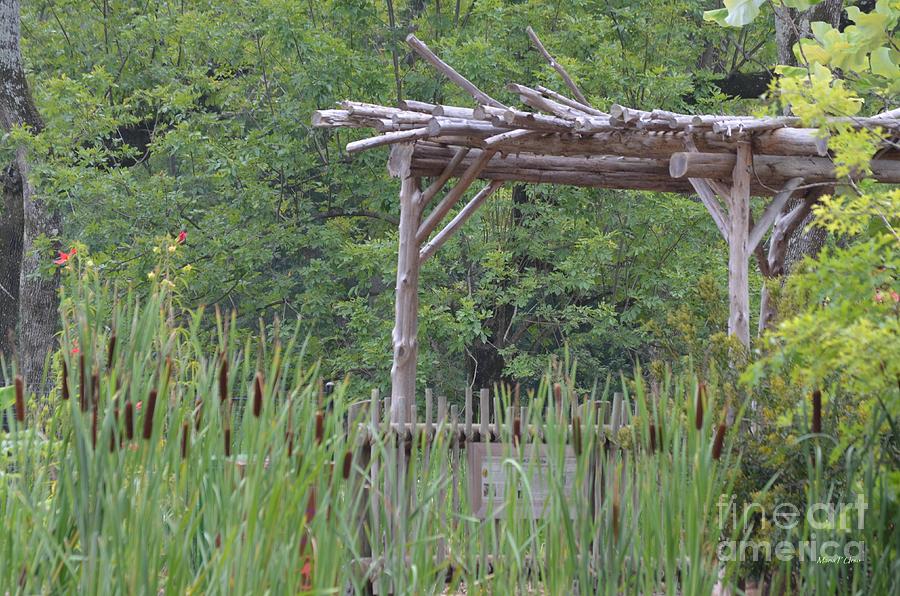 Cattails in the Garden Photograph by Maria Urso - Fine Art America