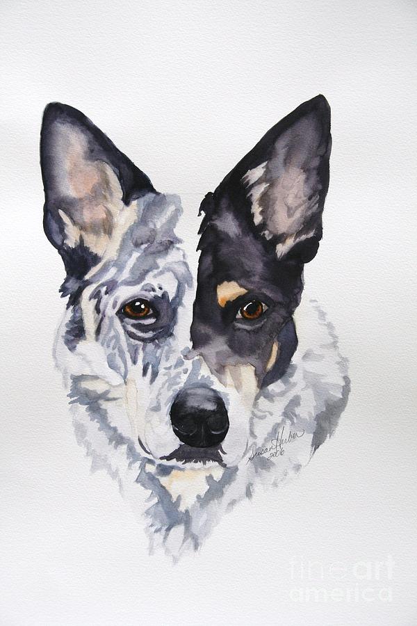 Dog Painting - Cattle Dog by Susan Herber