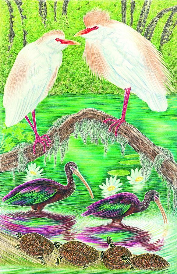 Ibis Drawing - Cattle Egrets with Ibis by Tim McCarthy