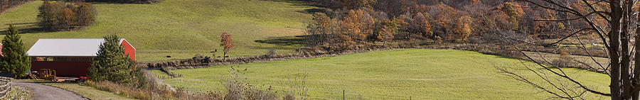 Cattle Farm Panorama Photograph by Gregory Scott