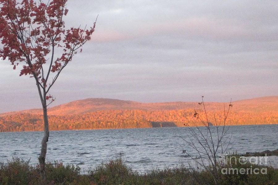 Caucomgomoc Lake Sunrise in Maine Photograph by Stella Sherman