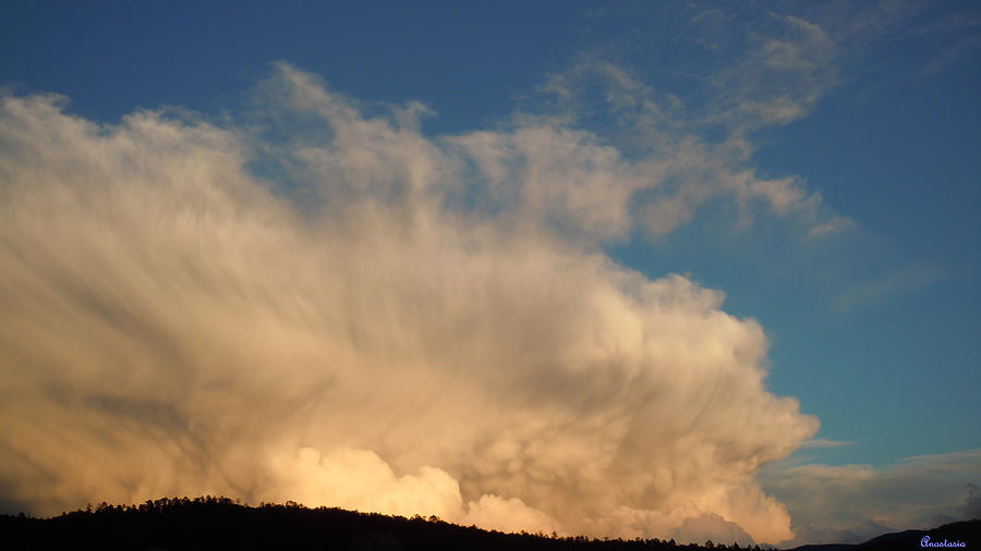 Caulifleurous Cloudscape Photograph by Anastasia Savage Ealy