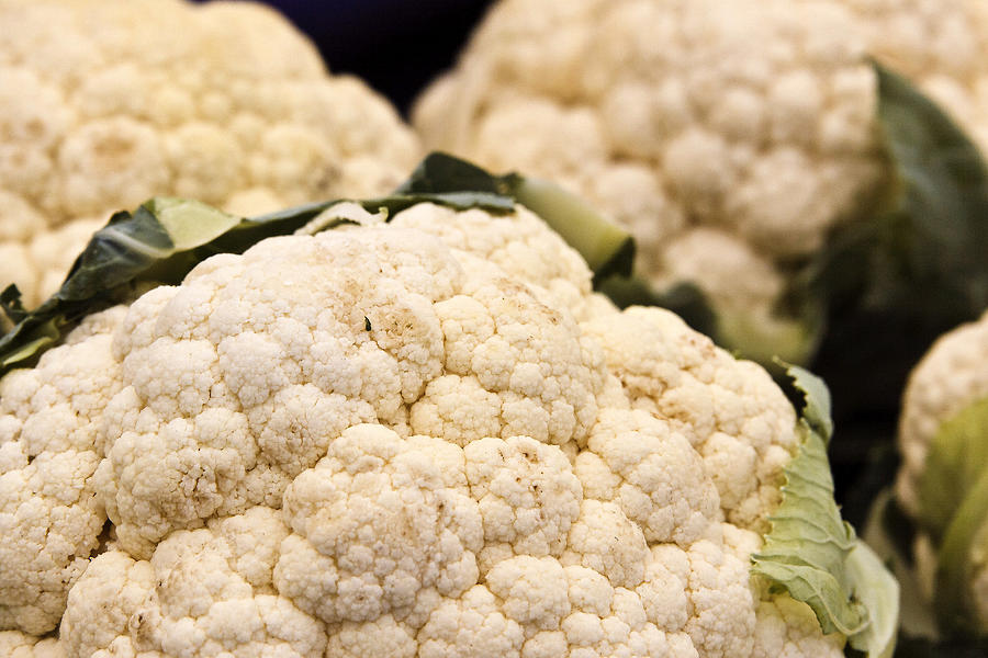Cauliflower Photograph by Forest Alan Lee