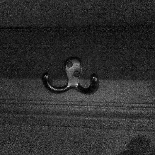 Summer Photograph - Caution Drunk Octopus Looking For A by Matt Perkins