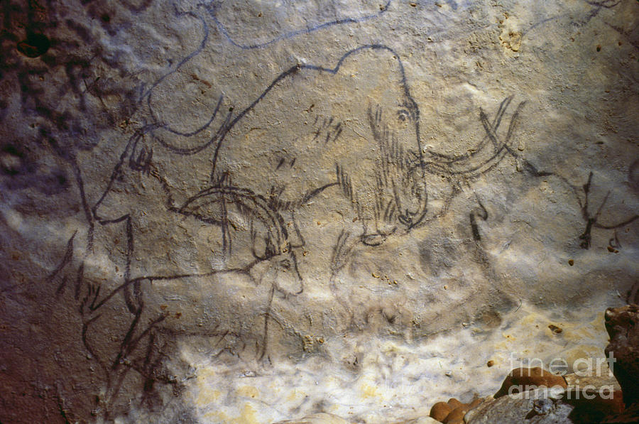 Cave Art - Mammoth And Ibexes Photograph by Granger