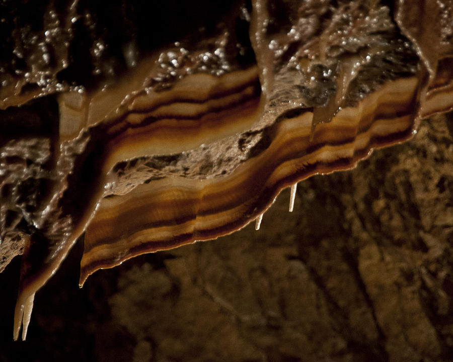 Nature Photograph - Cave Bacon by Jason Turuc