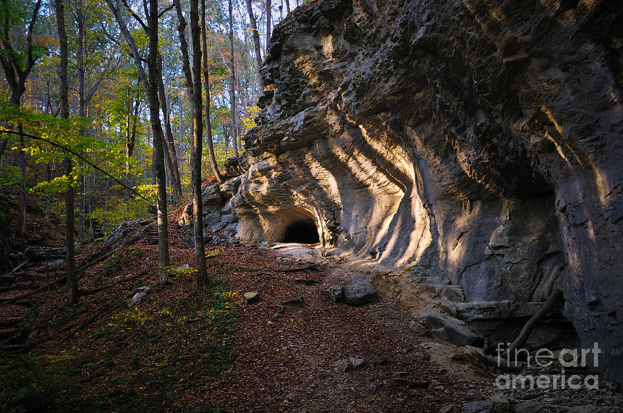 forest cave entrance
