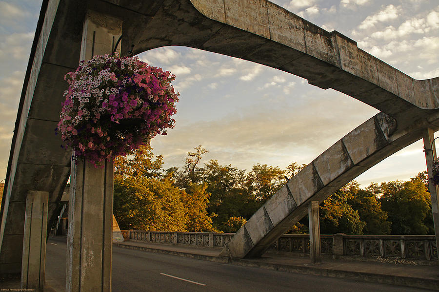 Flower Photograph - Caveman Bridge Arch and Flowers by Mick Anderson