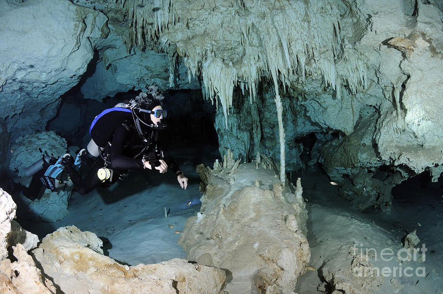Nature Photograph - Cavern Diver In Dos Ojos Cenote System by Karen Doody