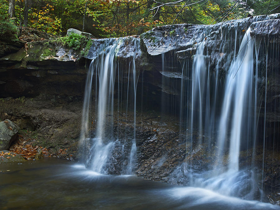 Cayuga Falls Ricketts Glen State Park Photograph by Tim Fitzharris
