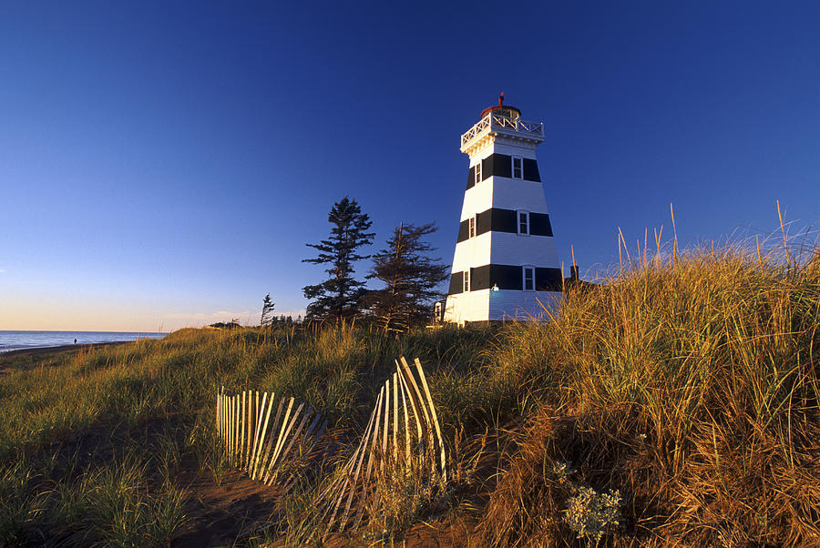 Cedar Dunes Provincial Lighthouse Photograph by David Nunuk - Fine Art ...