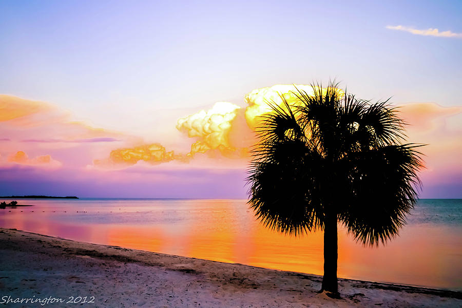 Cedar Key Sunset Photograph by Shannon Harrington