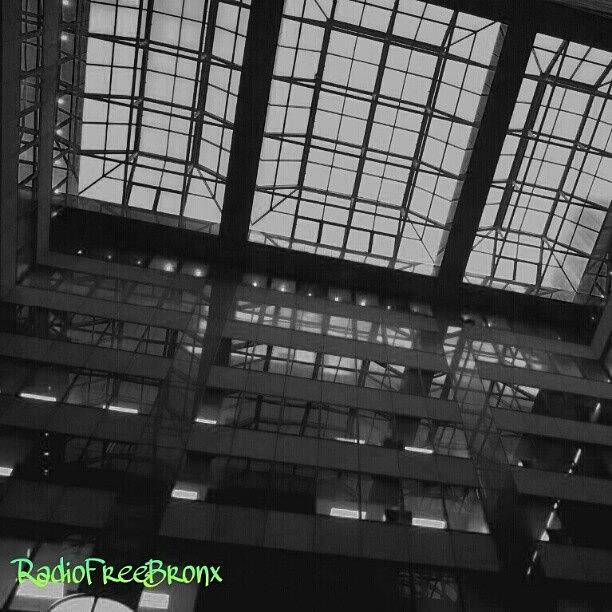 New York City Photograph - Ceiling, Human Cage. Midtown by Radiofreebronx Rox