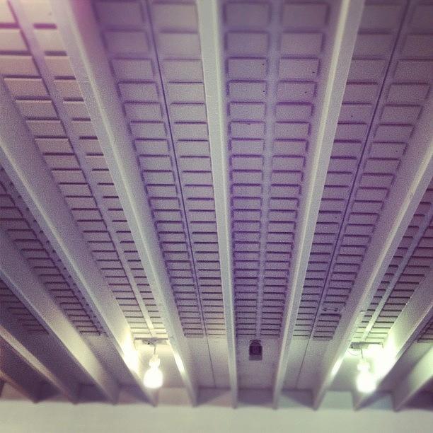 Ceiling Tiles At The Pool Photograph by Josh Podolske