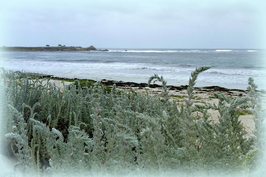 Celadon Seascape Photograph by Carla Parris