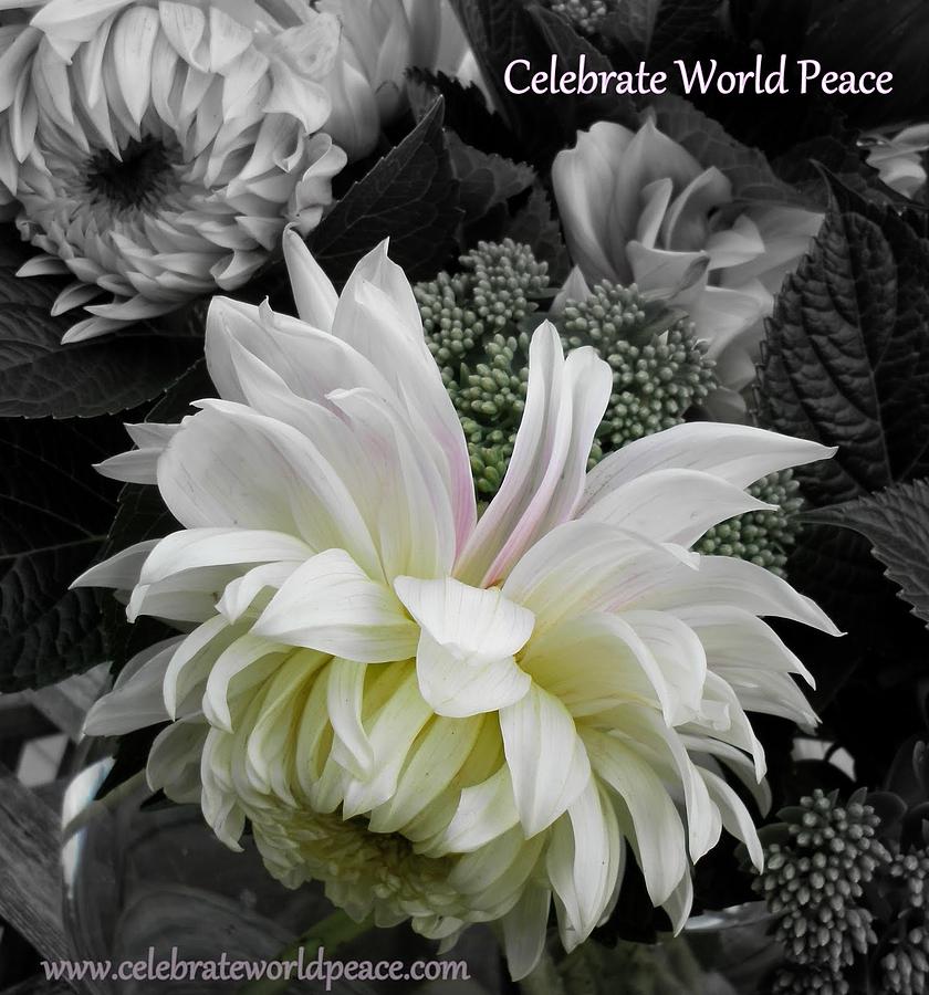 Celebrate World Peace Photograph by Sian Lindemann